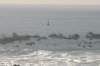 copyofdsc_0081_small.jpg