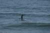 paddleboard_small.jpg