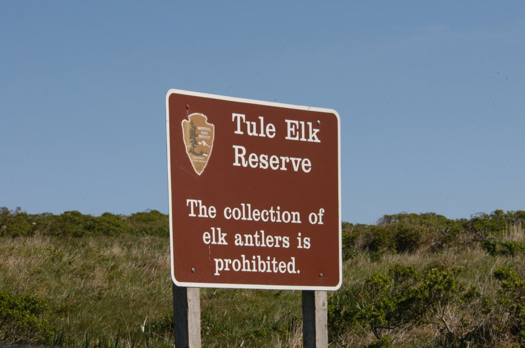 elksign.jpg