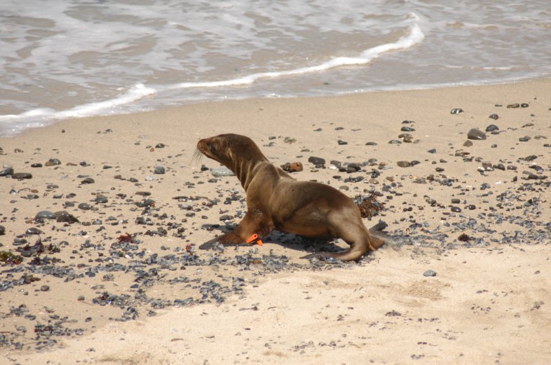 tmmc050507a.jpg