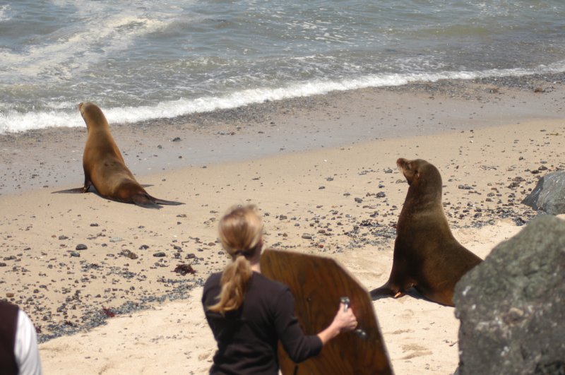 tmmc050507b.jpg