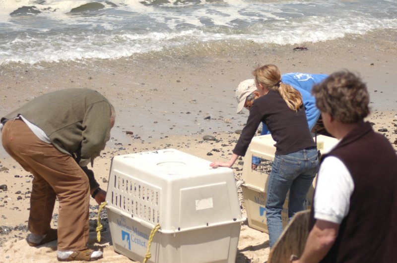 tmmc050507c.jpg