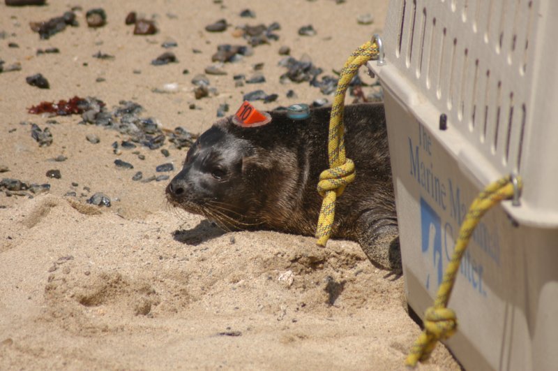 tmmc050507d.jpg