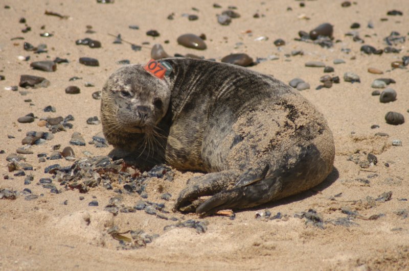 tmmc050507e.jpg