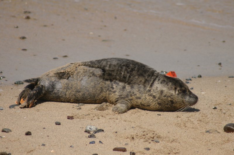 tmmc050507f.jpg